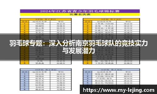 羽毛球专题：深入分析南京羽毛球队的竞技实力与发展潜力