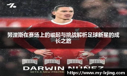 乐竞体育平台网址
